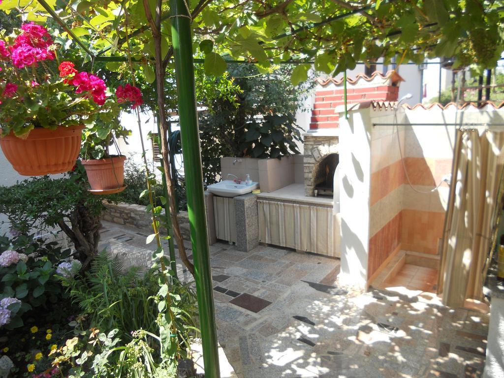 Apartments Anic Novigrad Istria Eksteriør billede