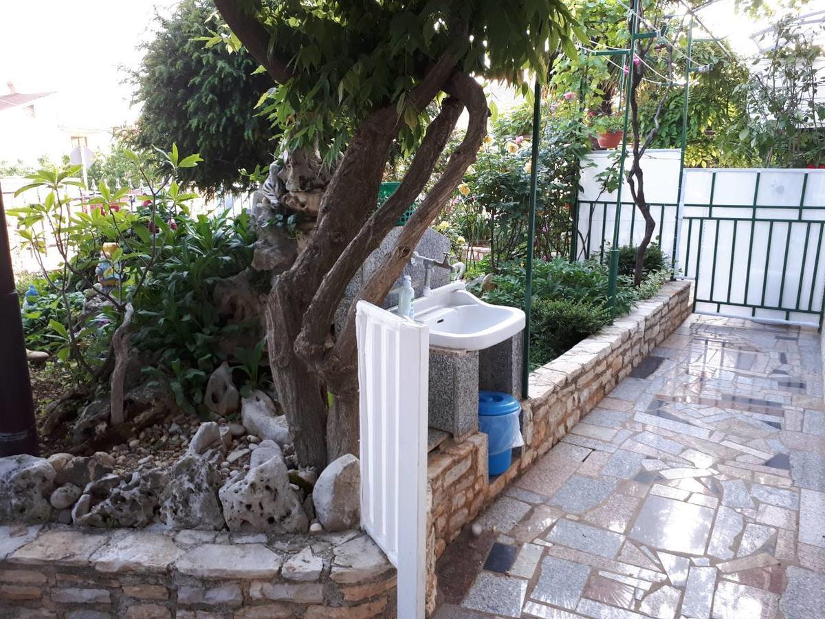 Apartments Anic Novigrad Istria Eksteriør billede