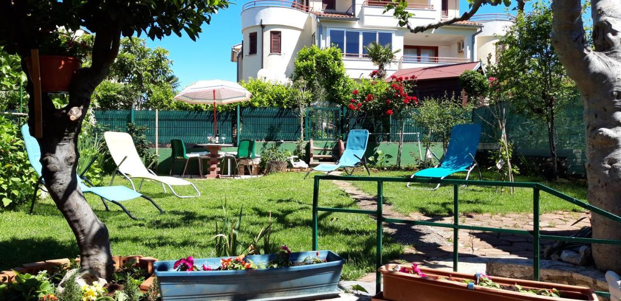Apartments Anic Novigrad Istria Eksteriør billede