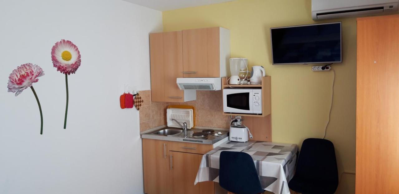 Apartments Anic Novigrad Istria Eksteriør billede